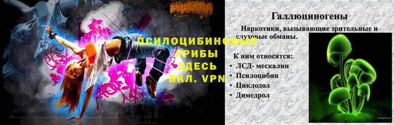 гидра ссылки  магазин продажи наркотиков  Заозёрск  Псилоцибиновые грибы мухоморы 